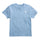 CAMISETA EVOLUTION BOXFIT